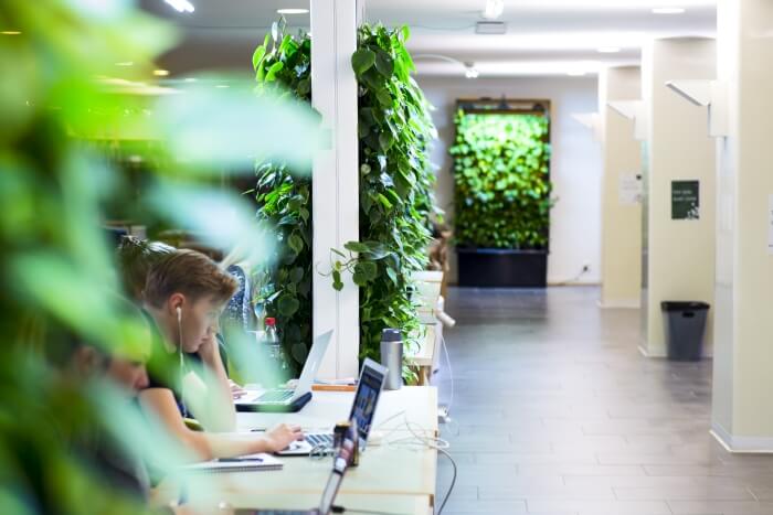 Science-backed Finnish green wall innovation is a quantum step for ...