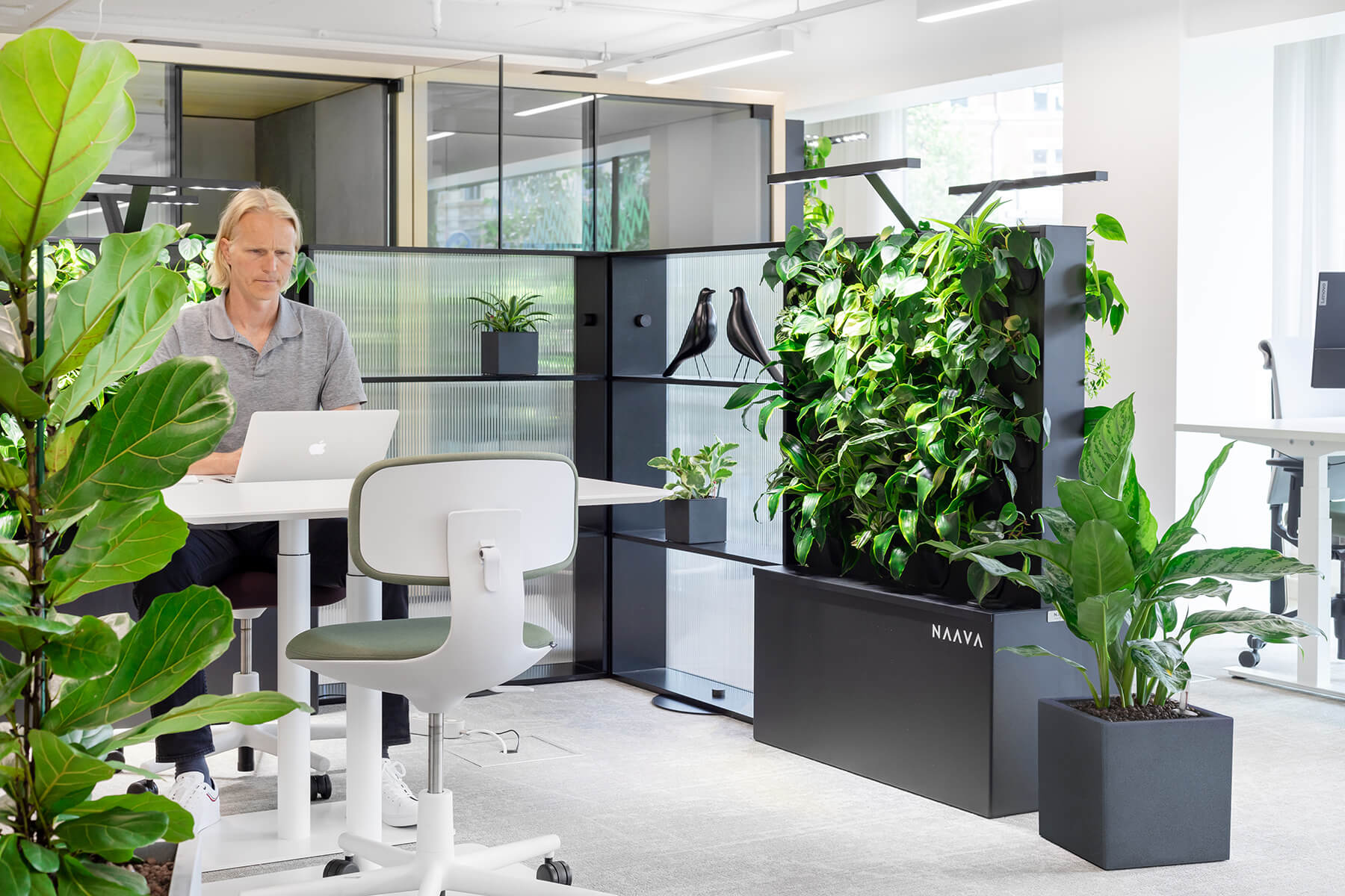 Potted plants for office Finland